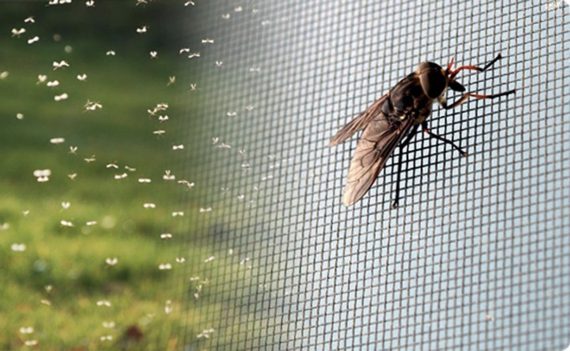 Mosquito Nets